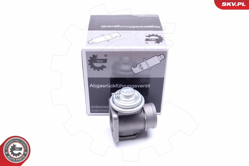 EGR Valve